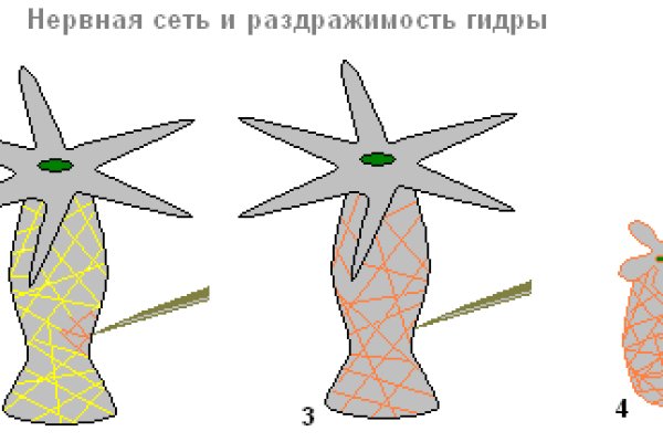 Как заказать на кракене