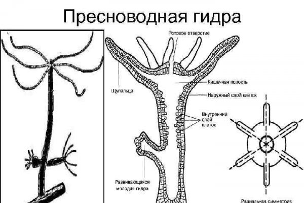 Кракен официальная ссылка vtor run