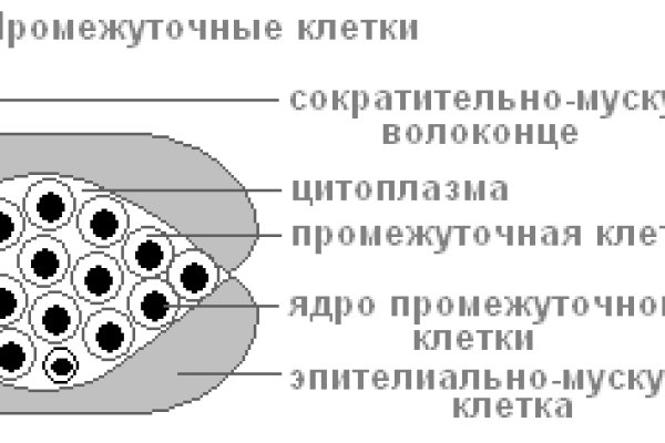 Кракен 12 сайт